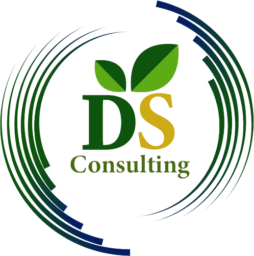 Logo of ds consulting